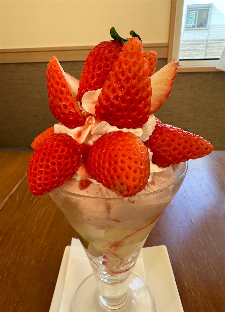 f:id:yoshink4:20240122133006j:image