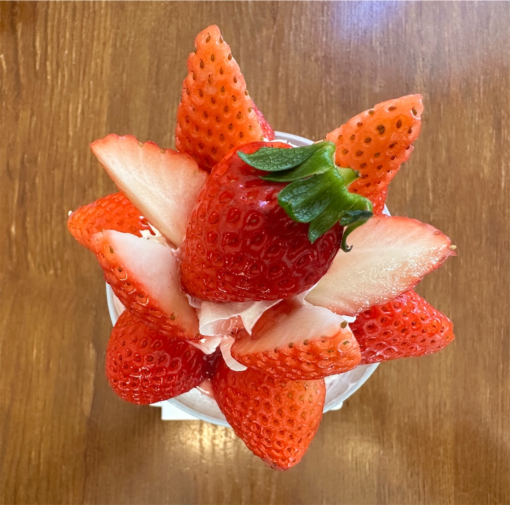 f:id:yoshink4:20240122133022j:image