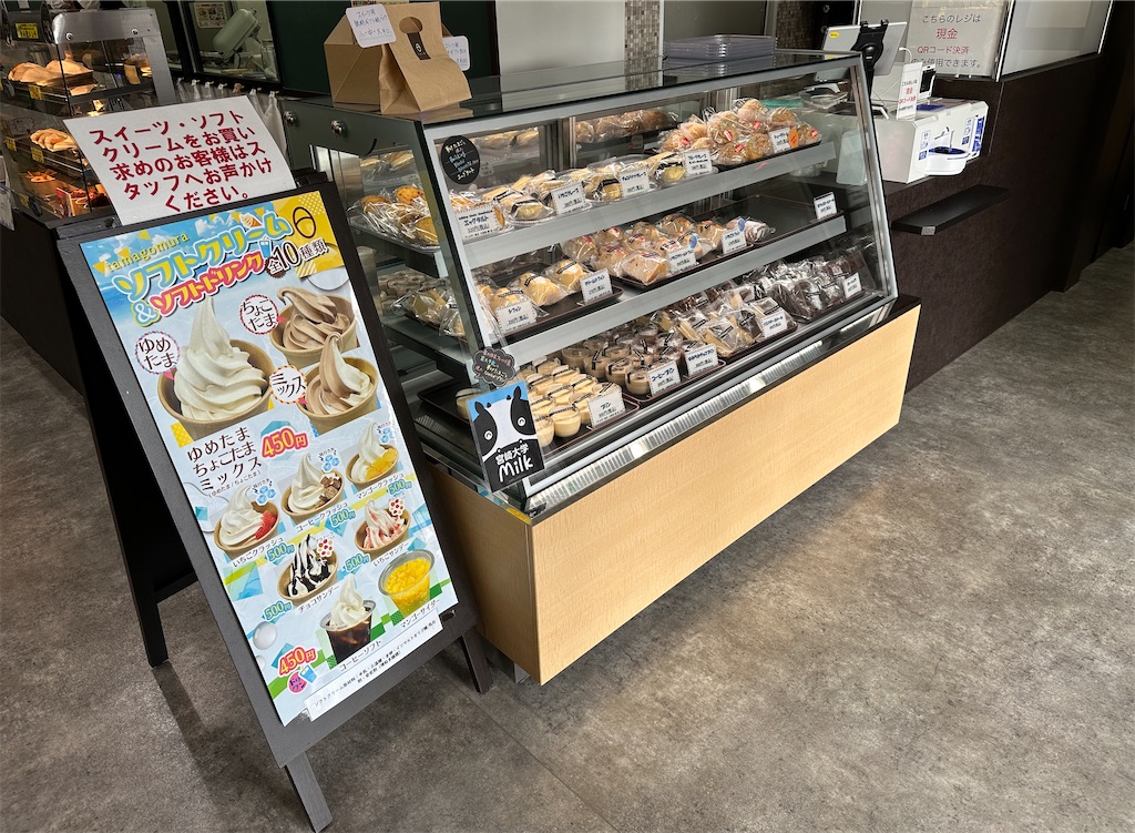 f:id:yoshink4:20240220172140j:image