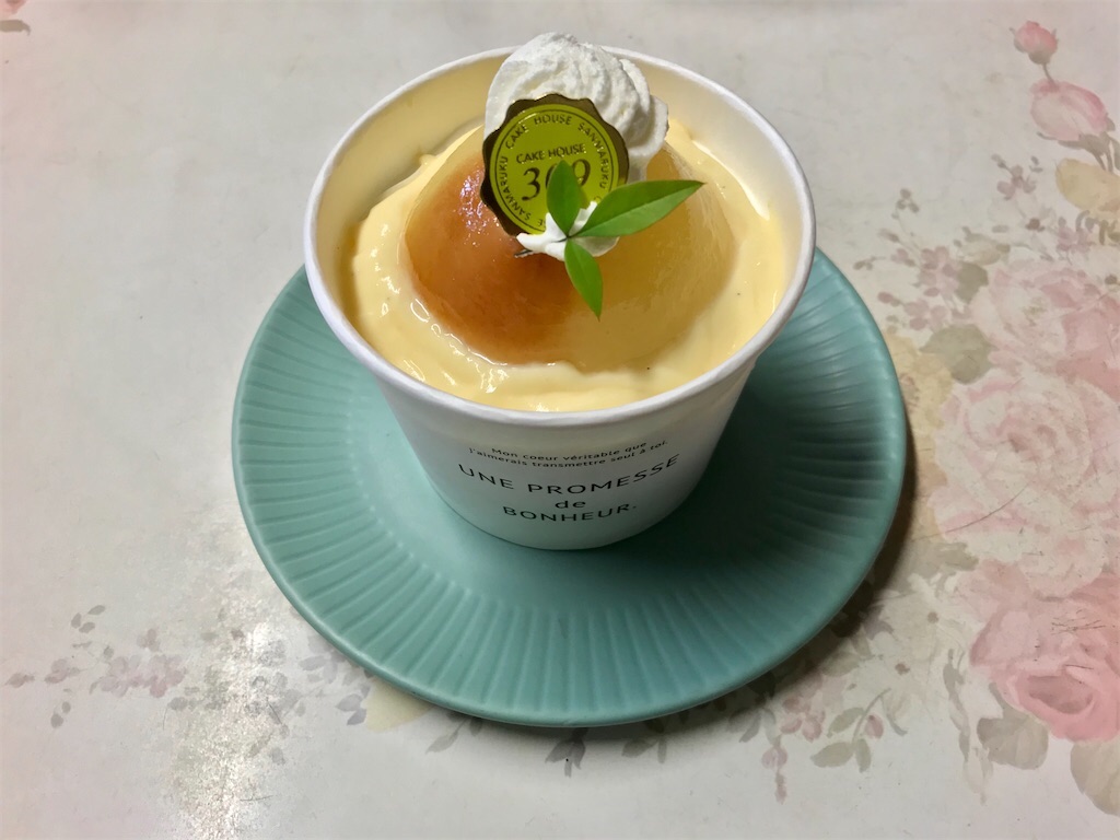 f:id:yoshink4:20240411145933j:image