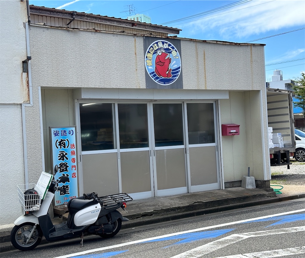 f:id:yoshink4:20240613163157j:image
