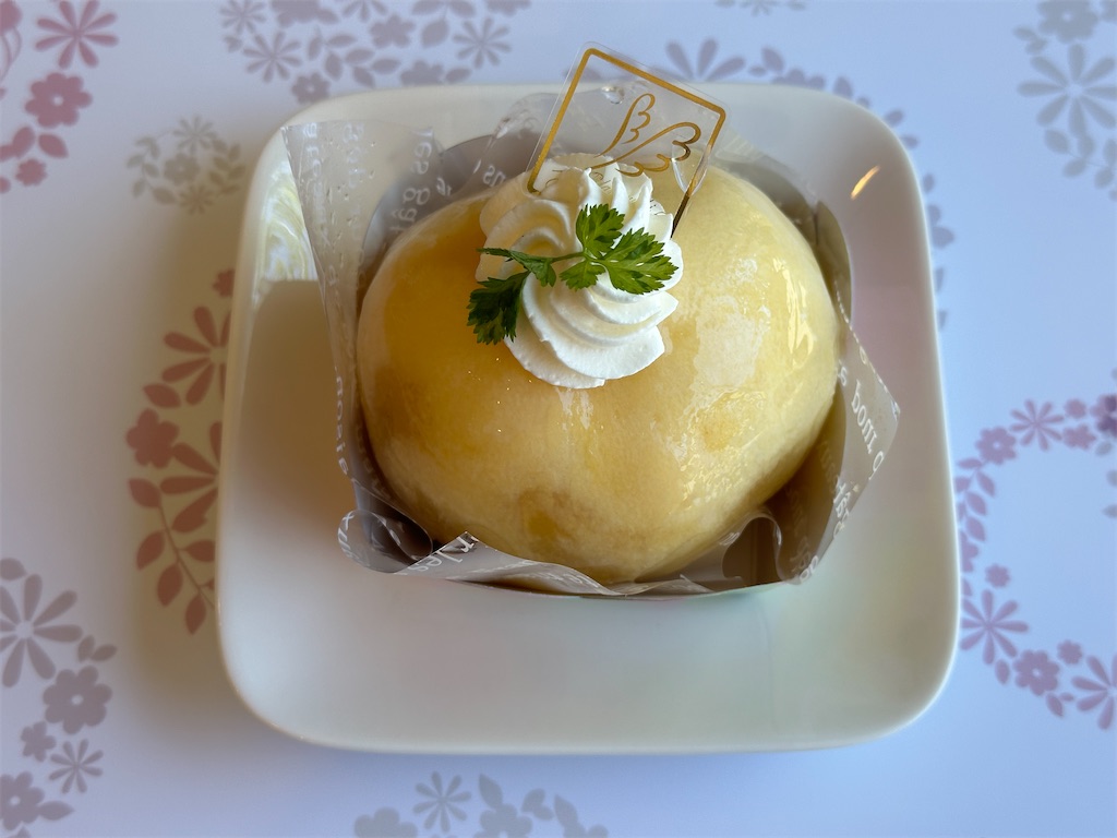 f:id:yoshink4:20240725175506j:image