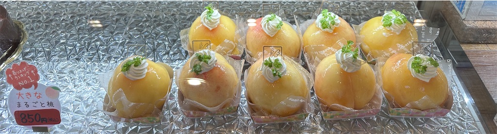 f:id:yoshink4:20240725175523j:image