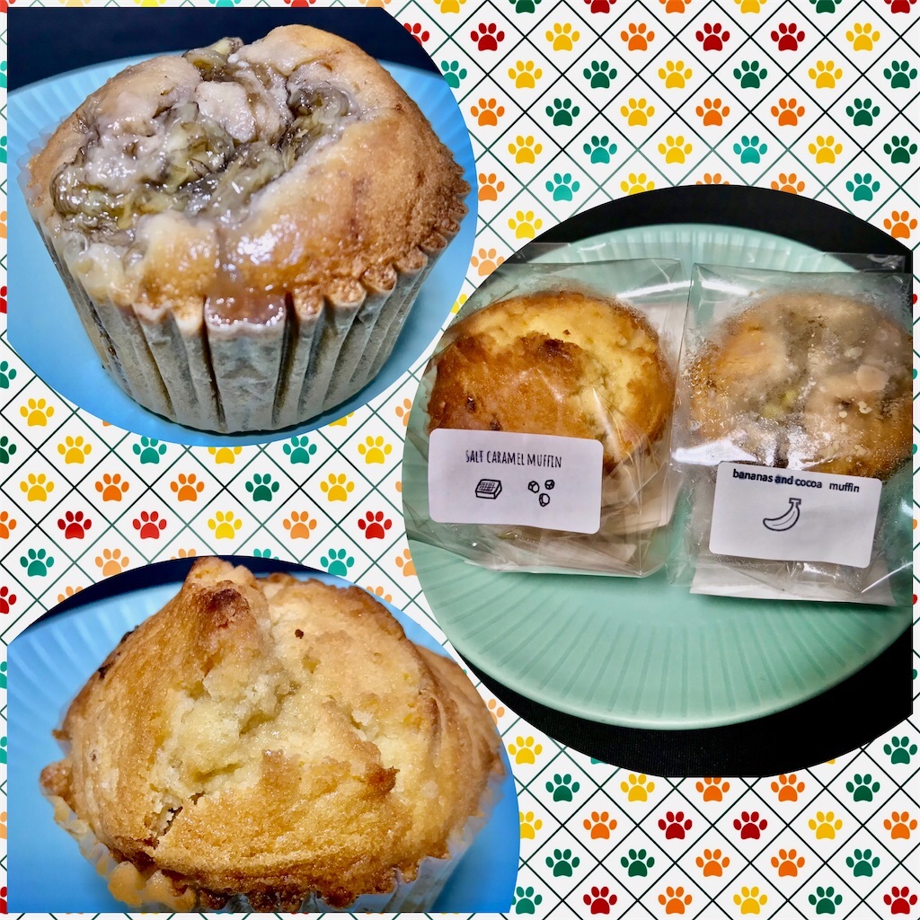 f:id:yoshink4:20241011223720j:image f:id:yoshink4:20241011223720j:image