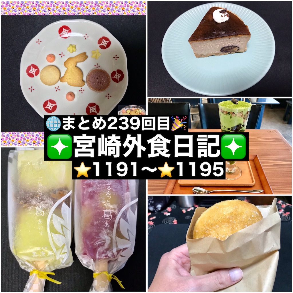 f:id:yoshink4:20241012071549j:image