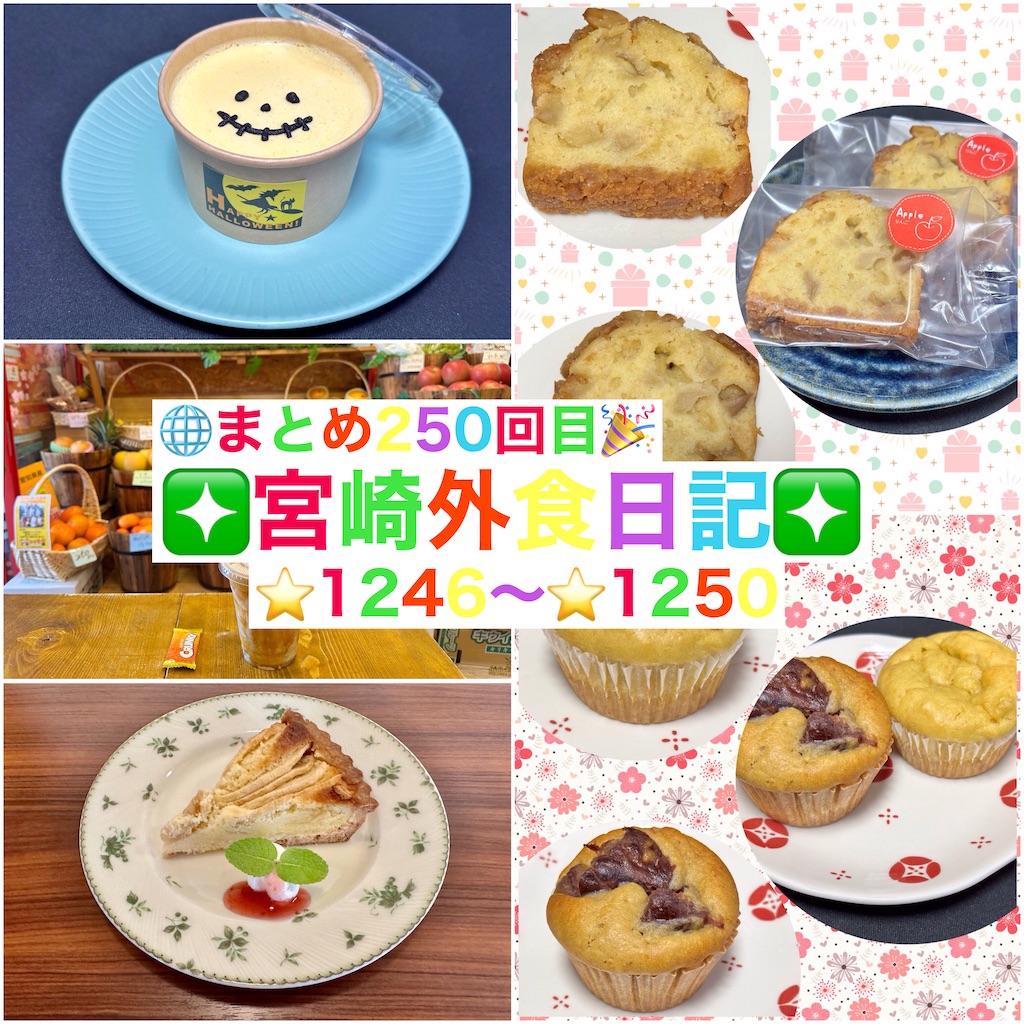 f:id:yoshink4:20241028150842j:image