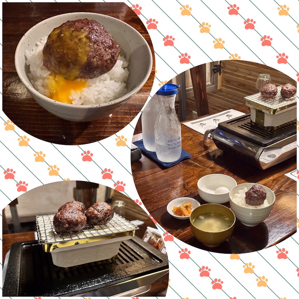 f:id:yoshink4:20241107175439j:image
