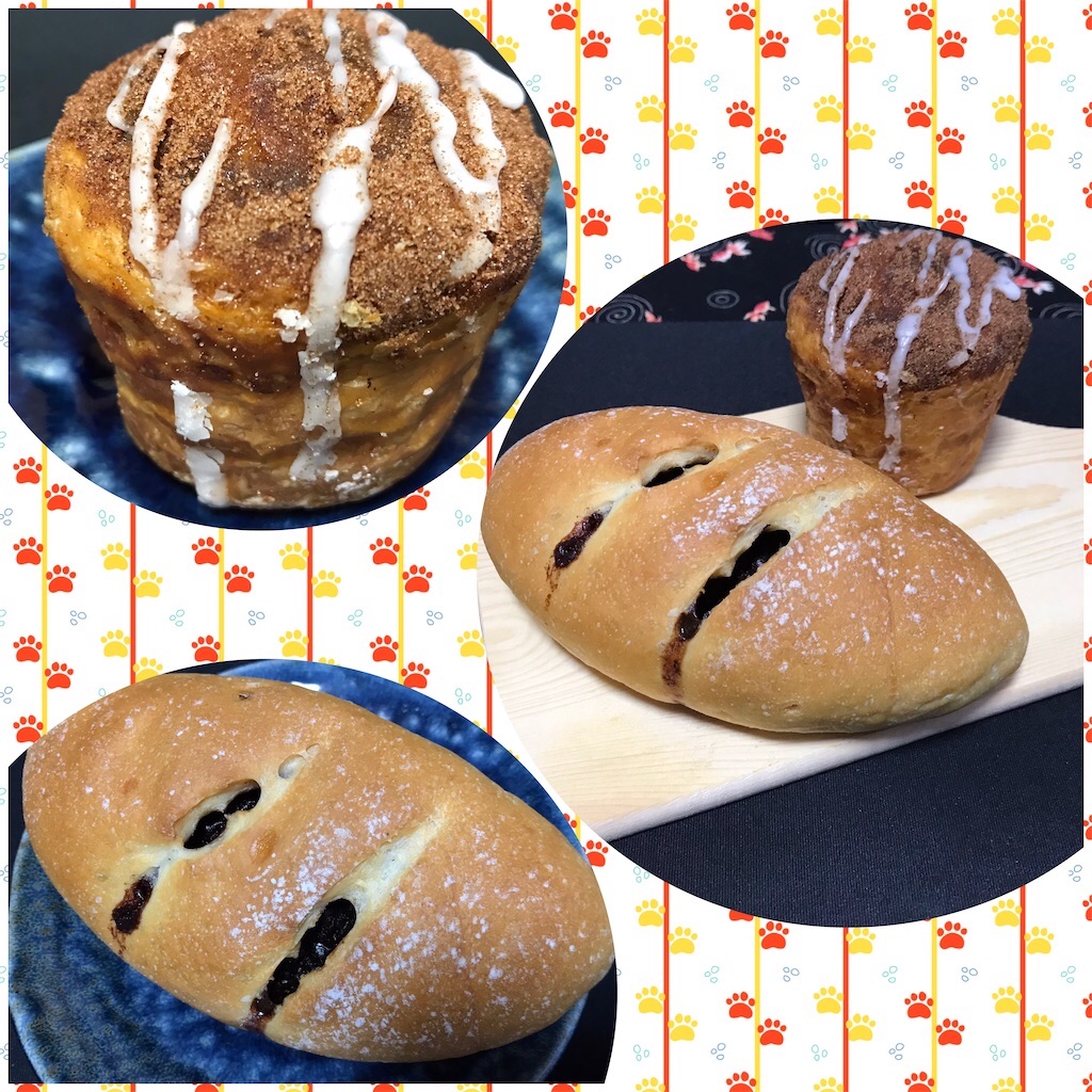 f:id:yoshink4:20241107180013j:image