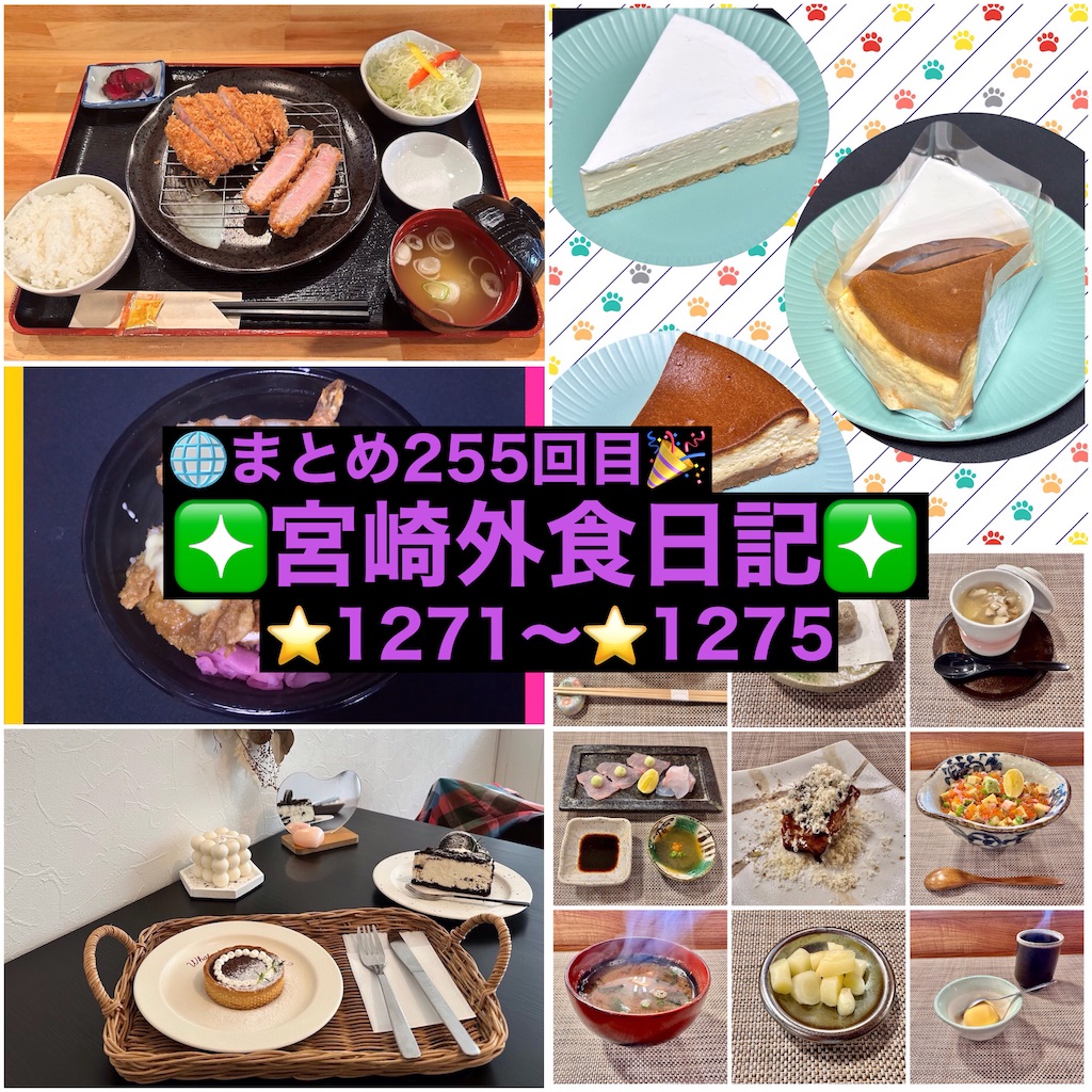 f:id:yoshink4:20241107194231j:image