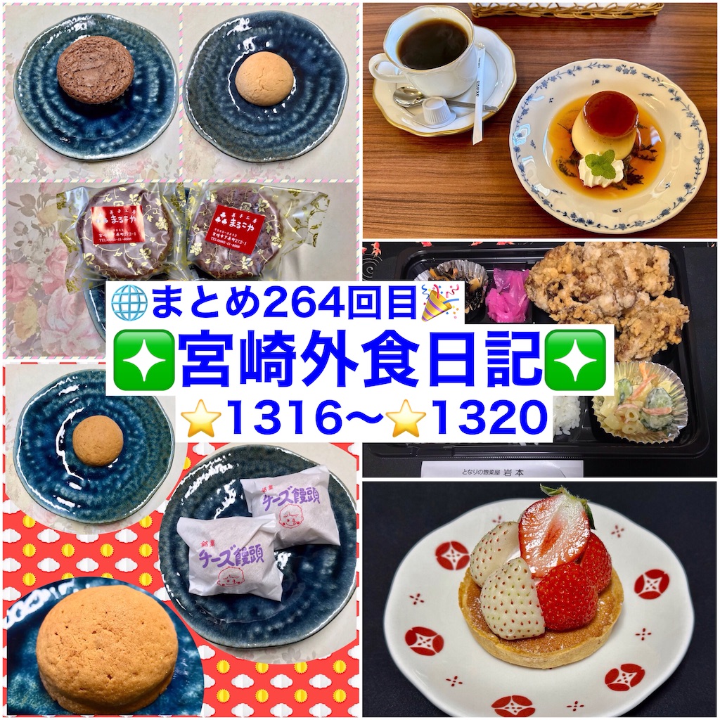 f:id:yoshink4:20241119101530j:image