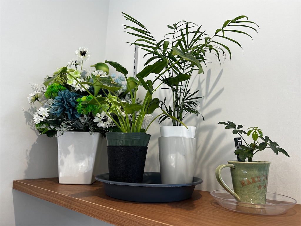 f:id:yoshink4:20241129143704j:image