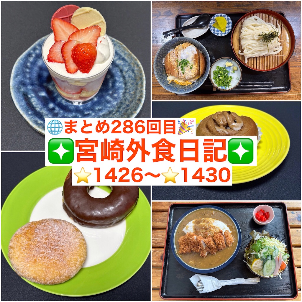 f:id:yoshink4:20241214100734j:image