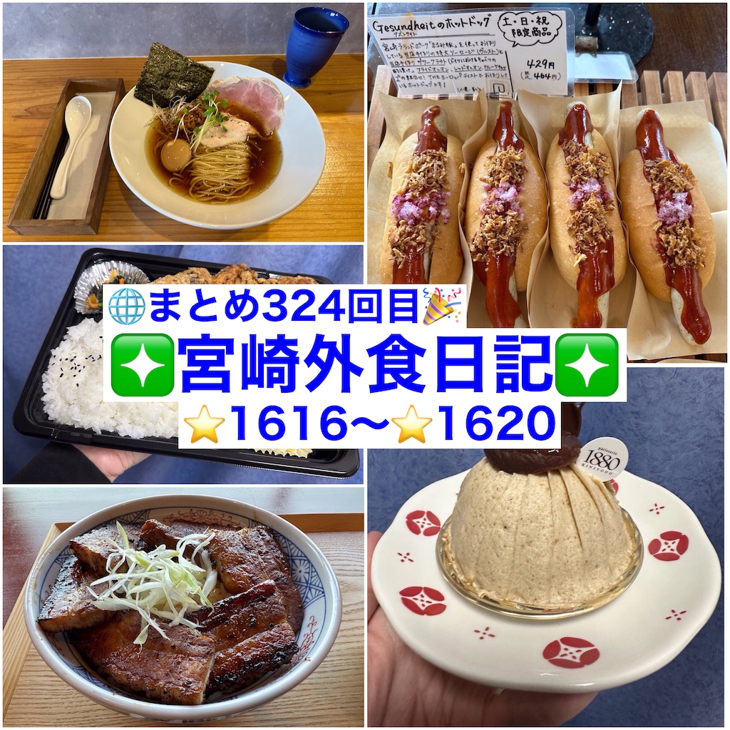 f:id:yoshink4:20250202210920j:image