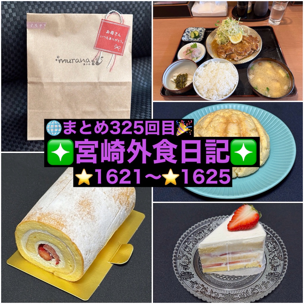 f:id:yoshink4:20250202210956j:image