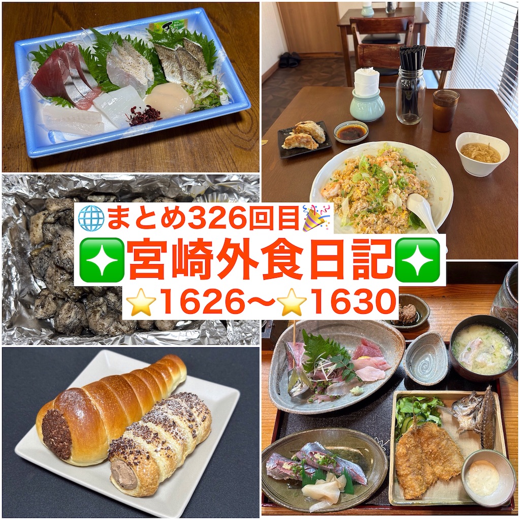 f:id:yoshink4:20250202211035j:image