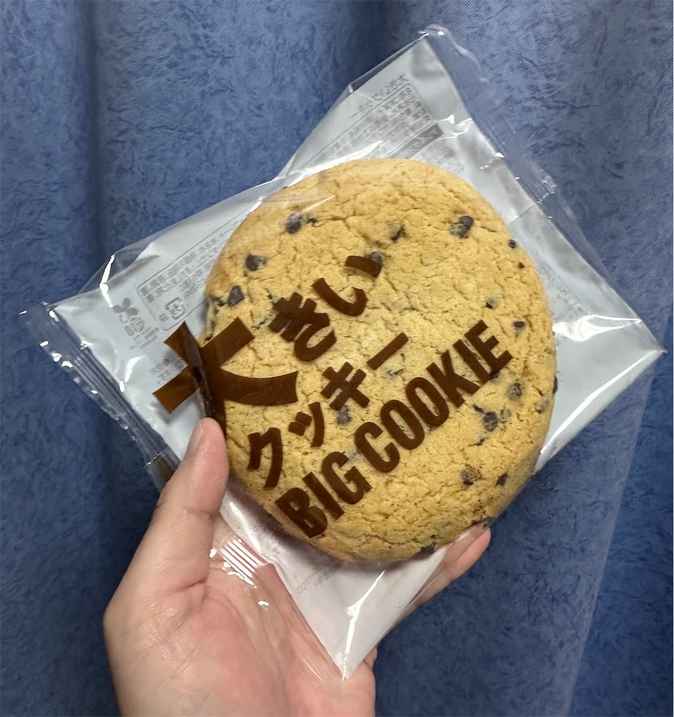 f:id:yoshink4:20251221142605j:image