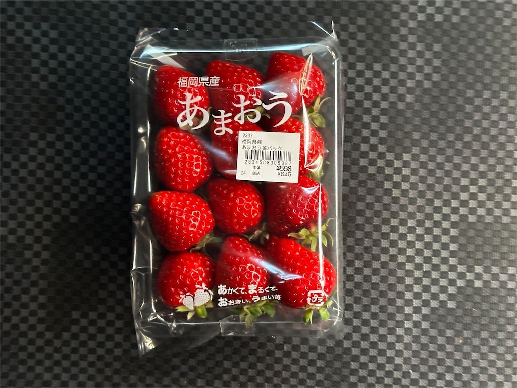 f:id:yoshink4:20260124123152j:image