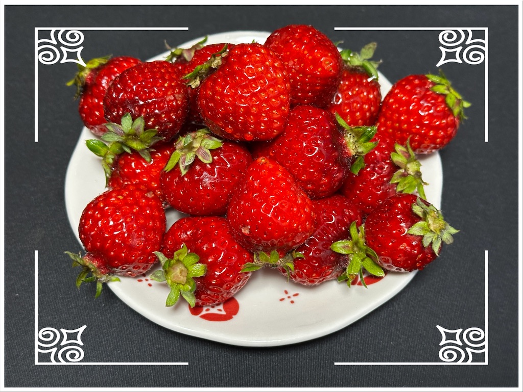 f:id:yoshink4:20260207132945j:image f:id:yoshink4:20260207132945j:image
