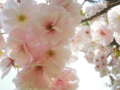 20110516214402