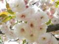 20110516214416