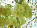 20110516214820