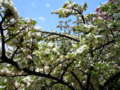 20110516215547