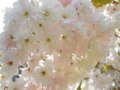 20110516220320