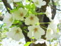 20110516220334