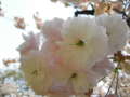 20110516220348