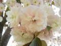 20110516220403