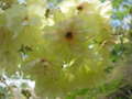 20110516221013