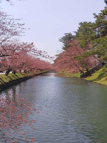 f:id:yoshino1126:20180422172421j:image:left:w200 f:id:yoshino1126:20180422172421j:image:left:w200