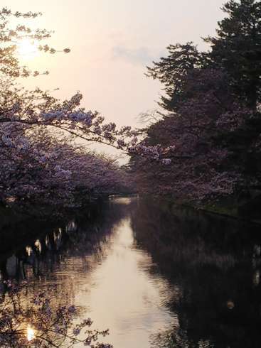 f:id:yoshino1126:20180422175647j:image:left:w175 f:id:yoshino1126:20180422175647j:image:left:w175