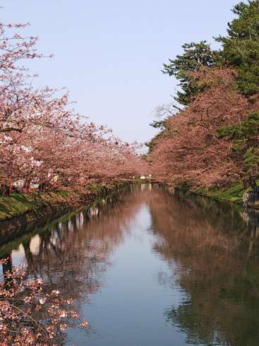 f:id:yoshino1126:20180422175722j:image:left:w175 f:id:yoshino1126:20180422175722j:image:left:w175