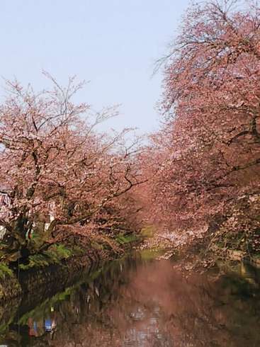 f:id:yoshino1126:20180422180436j:image:left:w200 f:id:yoshino1126:20180422180436j:image:left:w200