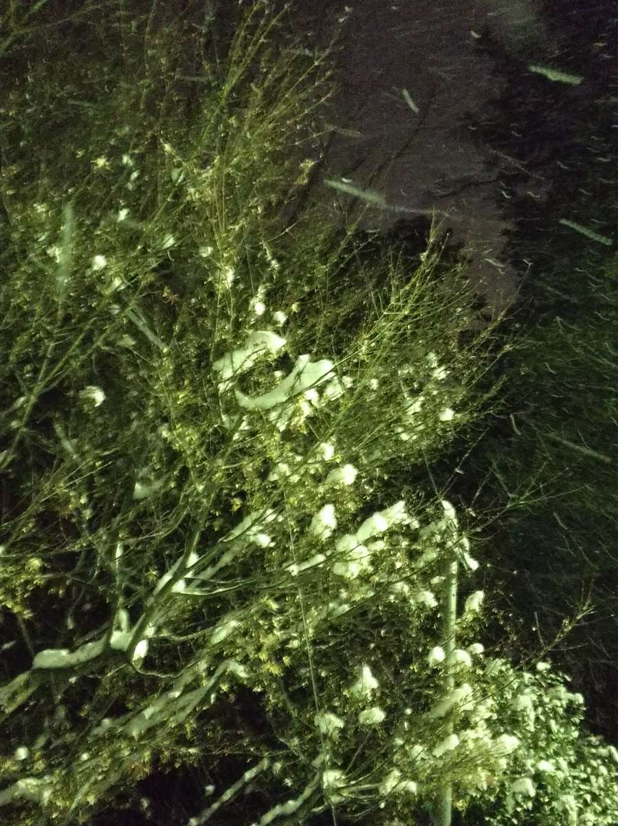 f:id:yoshino1126:20201214231411j:plain:w280