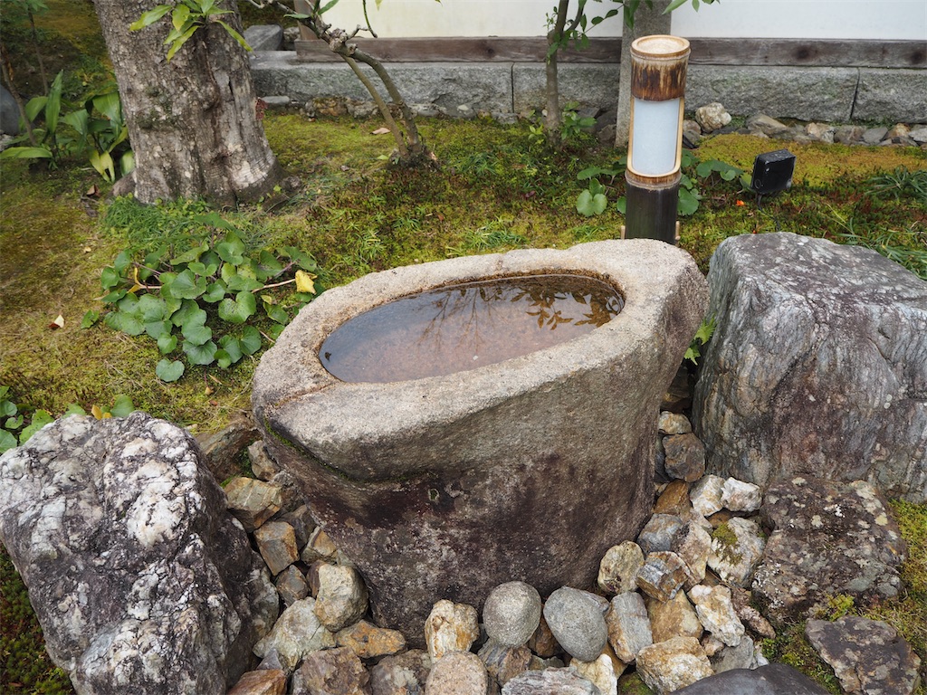 f:id:yoshino_40:20230201002047j:image f:id:yoshino_40:20230201002047j:image