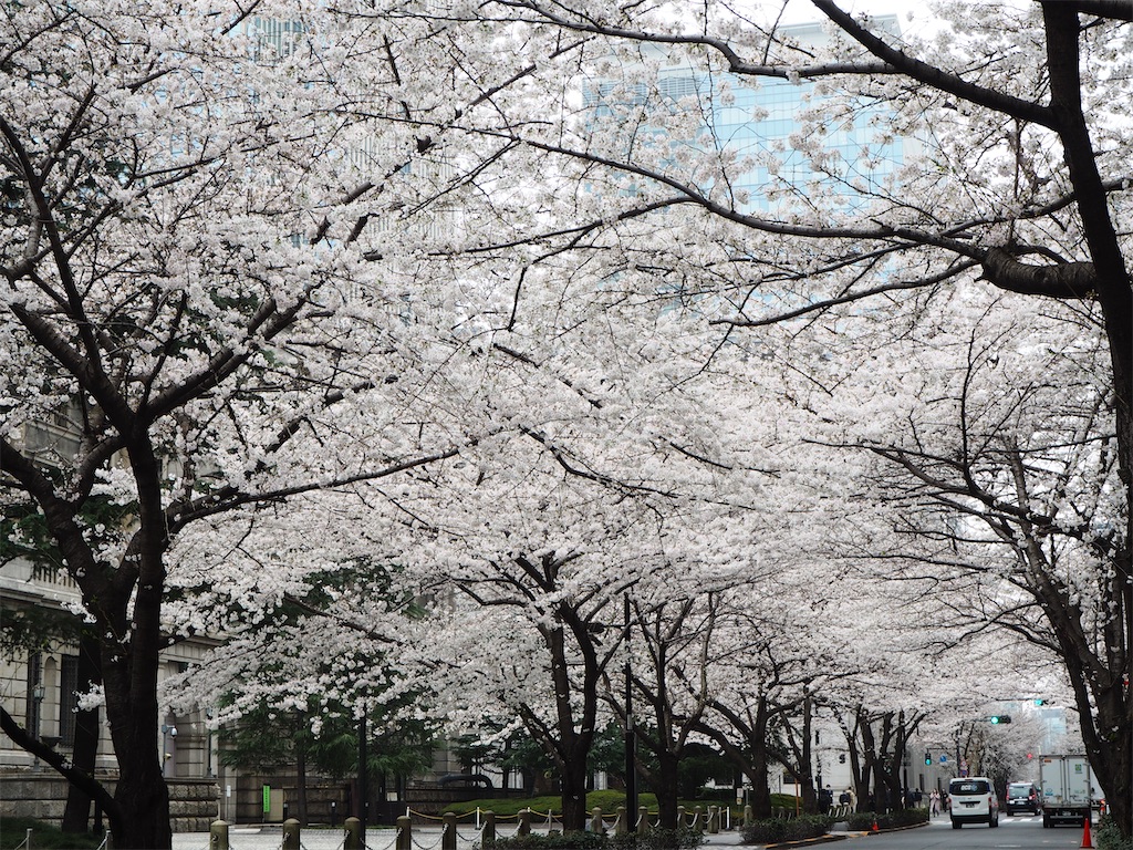 f:id:yoshino_40:20230323130708j:image