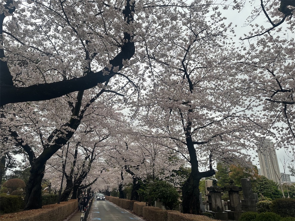 f:id:yoshino_40:20230326000910j:image f:id:yoshino_40:20230326000910j:image