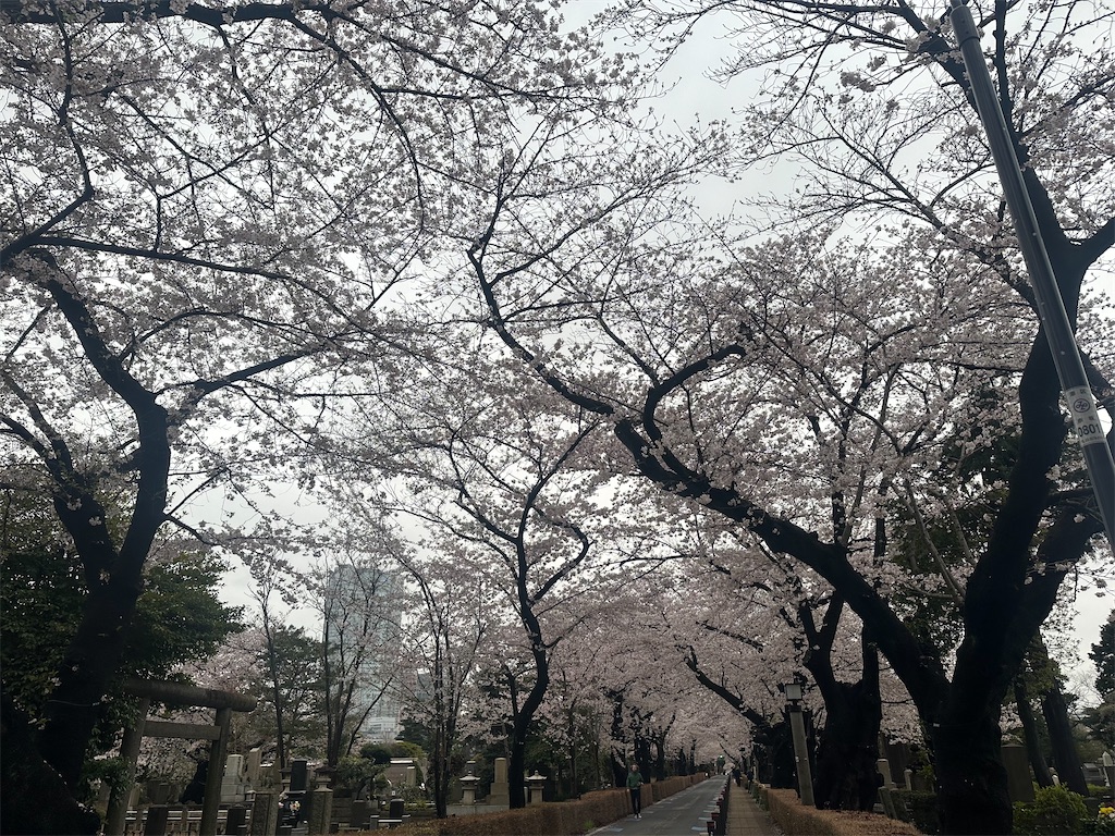 f:id:yoshino_40:20230326000914j:image f:id:yoshino_40:20230326000914j:image