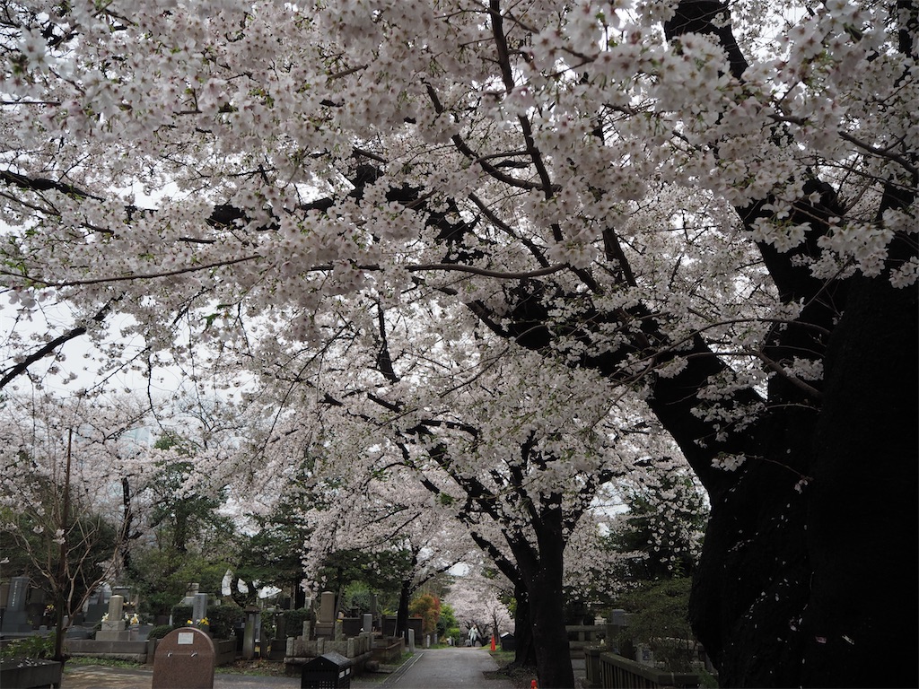 f:id:yoshino_40:20230326003112j:image f:id:yoshino_40:20230326003112j:image