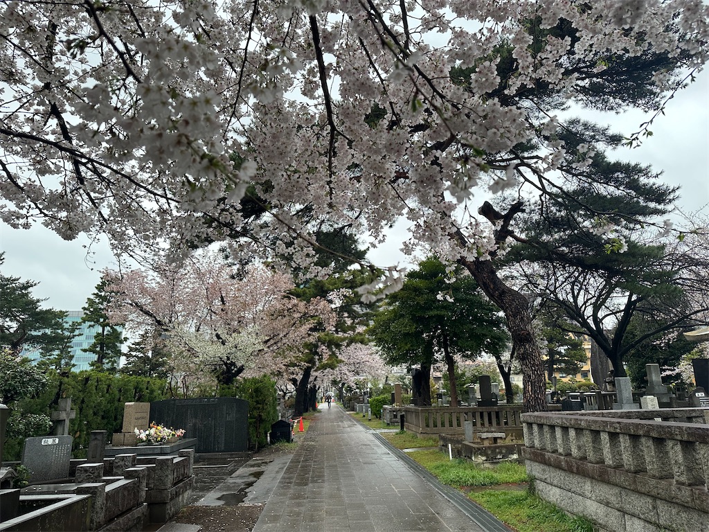 f:id:yoshino_40:20230326003431j:image f:id:yoshino_40:20230326003431j:image