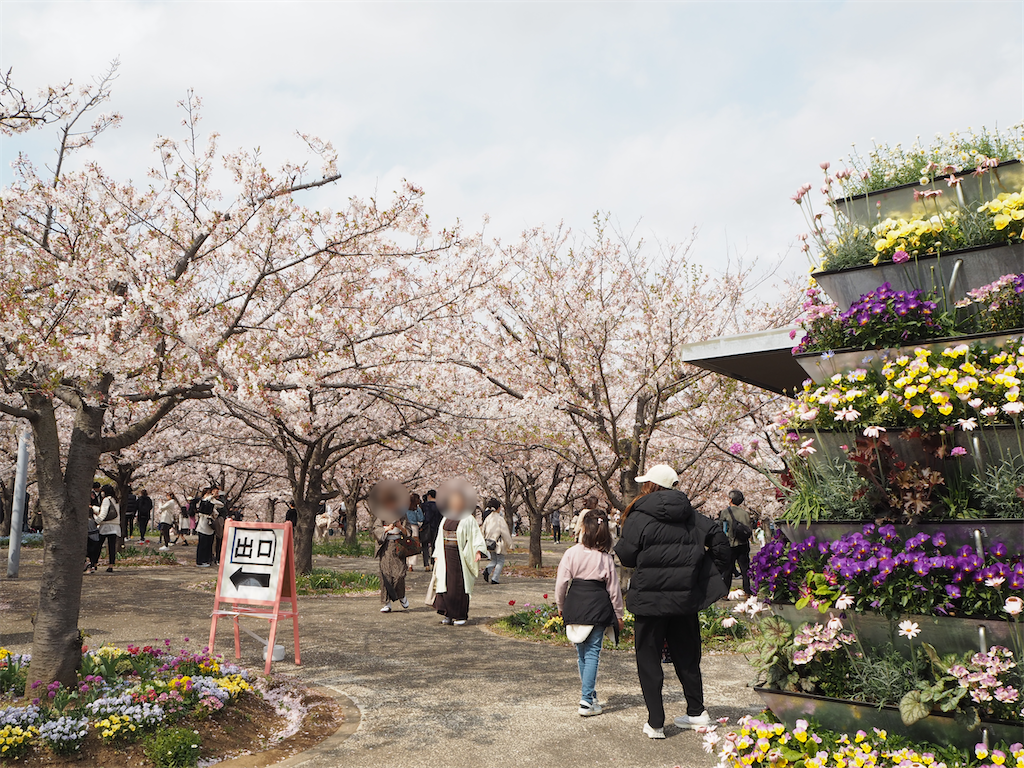 f:id:yoshino_40:20230402153655p:image