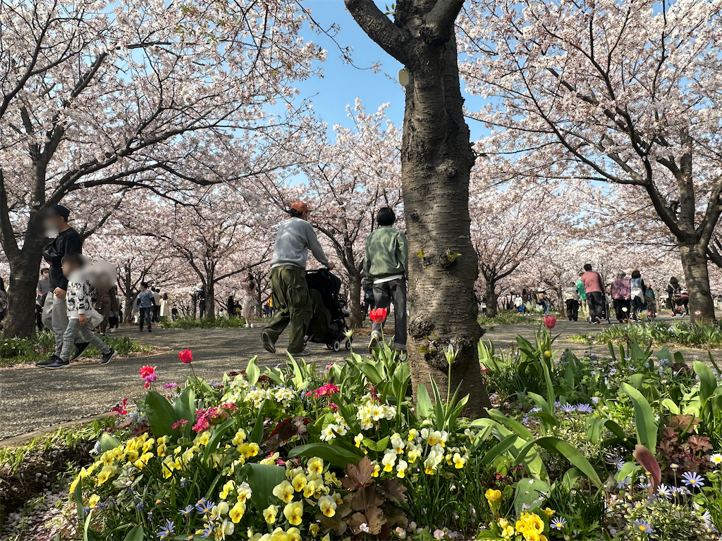 f:id:yoshino_40:20230402154043p:image