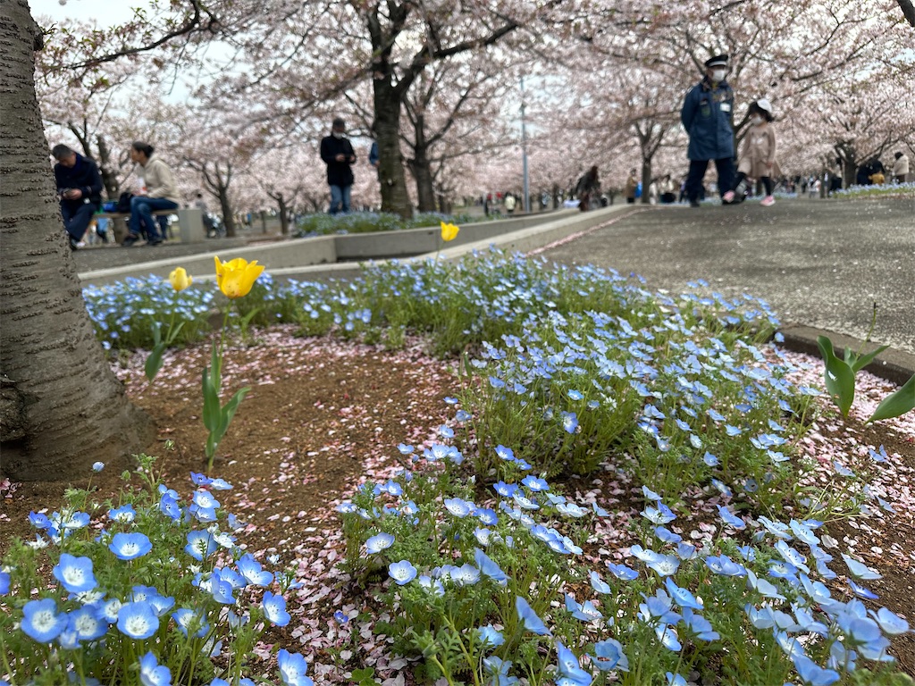 f:id:yoshino_40:20230402180110j:image