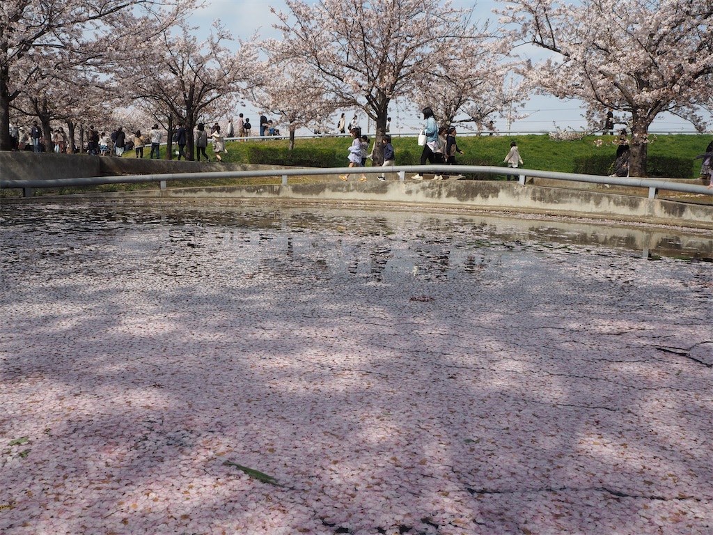 f:id:yoshino_40:20230402184437j:image