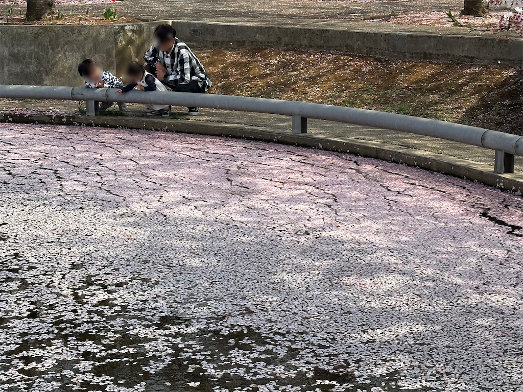 f:id:yoshino_40:20230402184803p:image