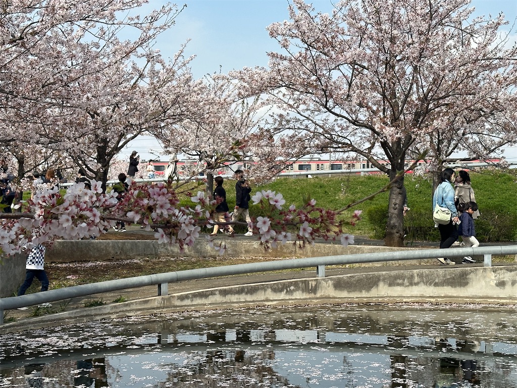 f:id:yoshino_40:20230402184906j:image