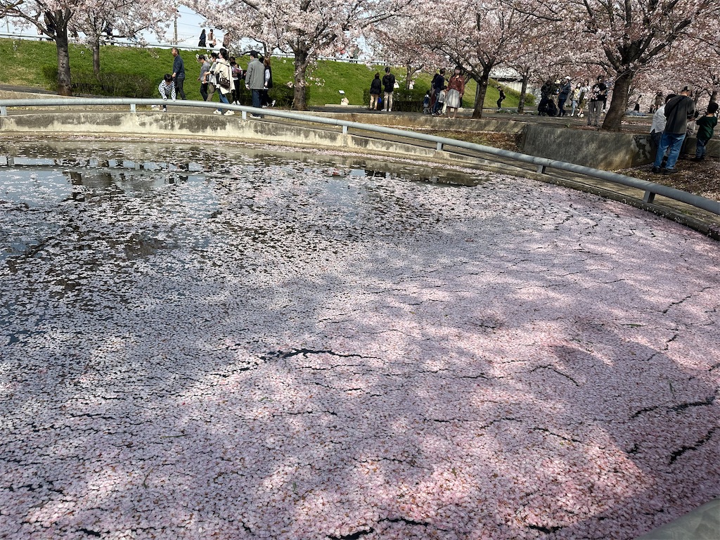 f:id:yoshino_40:20230402185004j:image