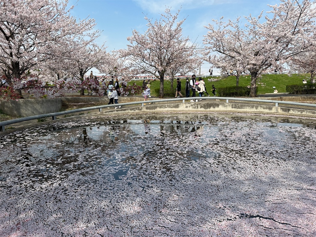 f:id:yoshino_40:20230402185103j:image